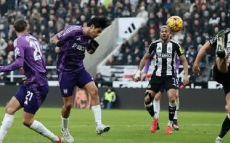 فولهام يفوز على نيوكاسل 2ـ1 في الدوري الإنجليزي الممتاز