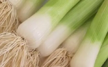 فوائد صحية لإضافة البصل الأخضر لنظامك الغذائي اليومى