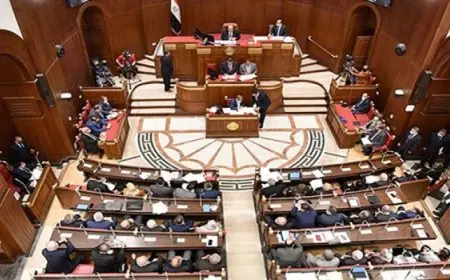مجلس الشيوخ يستأنف اليوم جلساته بمناقشات حول تنافسية قطاع التأمين وتطوير التعليم الجامعى