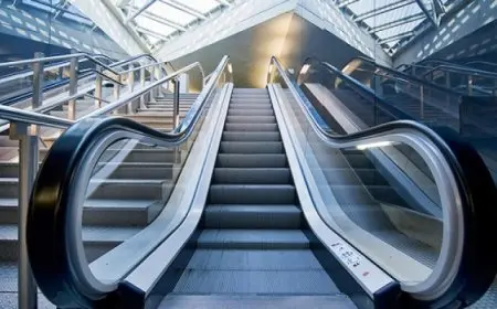 أصغر سلم متحرك فى العالم يستهدف دخول جينيس