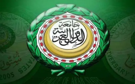 برعاية ورئاسة أبوالغيط.. انطلاق أعمال دائرة الحوار العربية حول الذكاء الاصطناعى