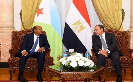 وزير الخارجية يؤكد حرص مصر على دعم جهود التنمية في جيبوتي
