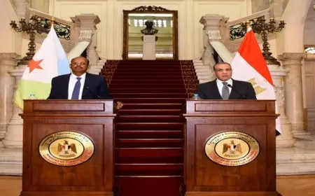 وزير الخارجية: العلاقات مع جيبوتي وثيقة.. واجتماع لمجلس أعمال البلدين قريبا
