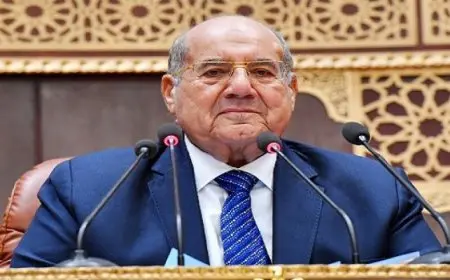 “الشيوخ” يحيل دراسة عن الاستثمار المباشر ورأس المال المخاطر والحوافز الضريبية إلى رئيس الجمهورية