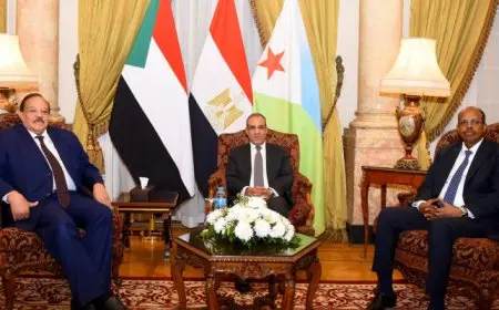 وزير الخارجية يعقد لقاء ثلاثياً مع نظيريه الجيبوتي والسوداني