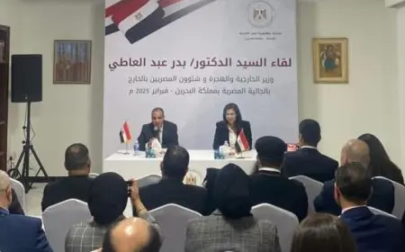 وزير الخارجية: الدولة تولي أقصى درجات الاهتمام والعناية بالجاليات المصرية بالخارج