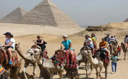 مجلس الوزراء : الدولة تستهدف أن تكون المقصد السياحى الأكثر تنوعًا في العالم