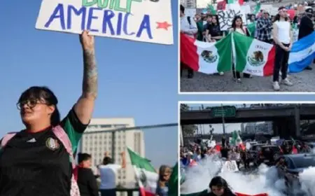 احتجاجات فى لوس أنجلوس ضد حملة ترامب لترحيل المهاجرين غير النظاميين