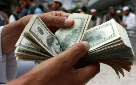 بفائدة 4.25%..البنك المركزى بيبع أذون خزانة بقيمة 1.061 مليار دولار لأجل عام