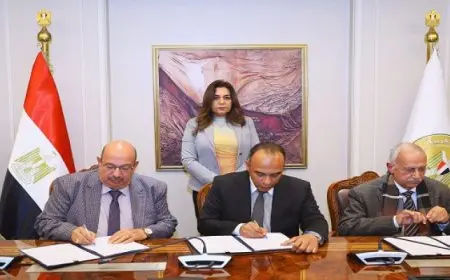 التنمية المحلية: إنهاء عقد بالتراضى للصالح العام بين المنيا وشركة تنمية زراعية لاستغلال 2500 فدان