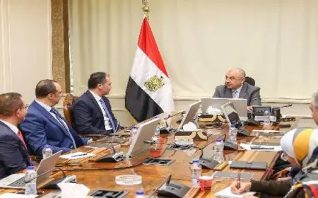 وزير قطاع الأعمال و”سيمنس” الألمانية يبحثان تعزيز استخدام الأنظمة الذكية والحلول التكنولوجية