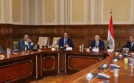 المسلمانى: نعمل على بناء رؤية متكاملة لتعزيز القوة الناعمة المصرية