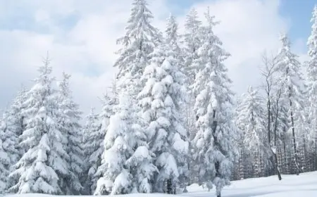 مدينة يابانية تختفي تحت طبقة هائلة من الثلوج