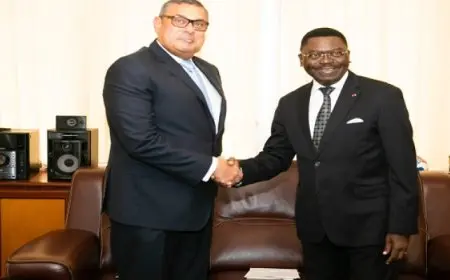 رسالة من الرئيس السيسى إلى نظيره الكاميرونى يسلمها نائب وزير الخارجية