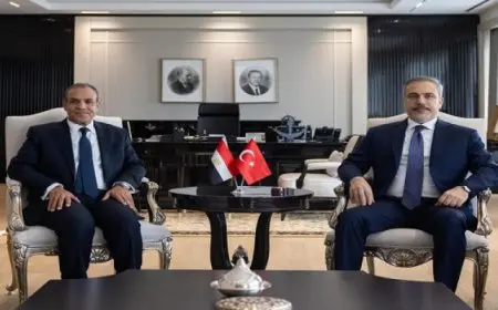 مصر وتركيا تجددان رفضهما لأى مساس بحقوق الشعب الفلسطينى غير القابلة للتصرف