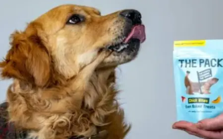 تصنيع طعام للكلاب من خلايا بيض الدجاج ببريطانيا