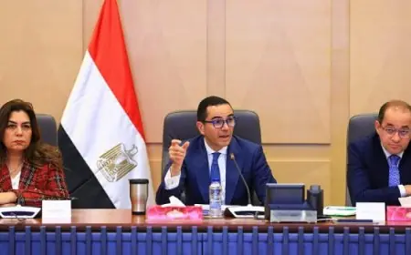 لقاء موسع لوزراء الاستثمار والمالية والتنمية المحلية لبحث سبل تطوير منظومة الرقابة على الصادرات والواردات