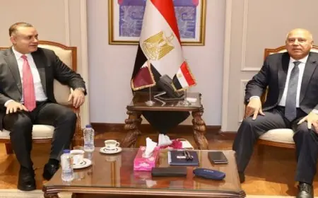 بال .. مصر وقطر تبحثان سبل تعزيز التعاون المشترك فى مجالى الصناعة والنقل