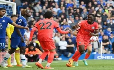 مواجهة مرتقبة بين تشيلسى وبرايتون فى كأس الاتحاد الإنجليزى