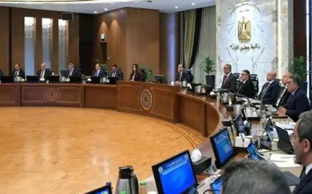 بال .. رئيس الوزراء يُوجه المحافظين بضرورة المتابعة اليومية لجهود ضبط أسعار السلع وتوافرها فى الأسواق