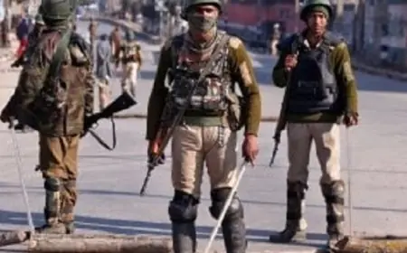 مقتل 31 مسلحا واثنين من قوات الأمن فى مواجهات مع قوات الأمن بوسط الهند