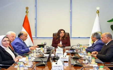 وزيرة التنمية المحلية تتابع مستجدات منظومة المخلفات الصلبة بالجيزة