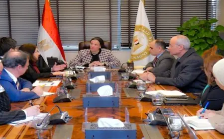 وزيرة البيئة تناقش مع البعثة الفنية للبنك الدولى نتائج تقييم أنشطة مشروع ادارة تلوث الهواء وتغير المناخ