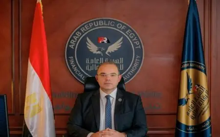 الرقابة المالية تطور قواعد ونسب استثمار أموال شركات التأمين وإعادة التأمين