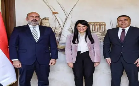 المشاط تبحث مع ممثلي شركة “فورتيسيكو” للطاقة تطورات استثماراتها في مصر