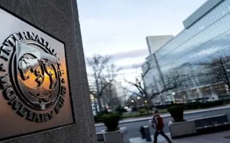 صندوق النقد والبنك الدوليين يؤكدان قدرة الاقتصاد المصرى على مواصلة النمو