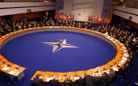 “الناتو” يعلن عمل القوات “متعددة الجنسيات” بكامل طاقتها في المجر