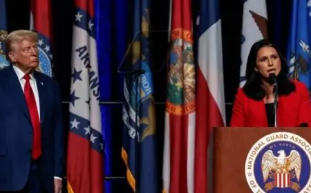 “الشيوخ الأمريكى” يوافق على المضي قدما نحو ترشيح جابارد مديرة للمخابرات الوطنية