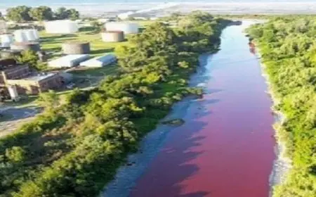 مشهد نادر.. مياه حمراء تغزو نهرا في الأرجنتين وتسبب قلقا واسعا