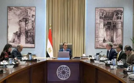 مدبولى يتابع مع وزيرى الكهرباء والبترول جهود توفير احتياجات الطاقة خلال الصيف وتحسين كفاءتها