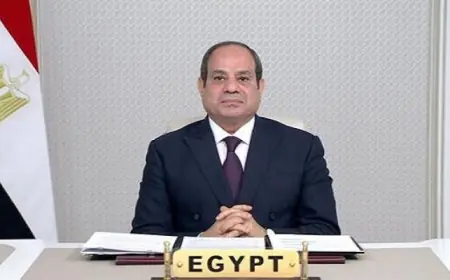 الرئيس السيسى يترأس الاجتماع الـ 42 للجنة التوجيهية لرؤساء دول وحكومات “نيباد”