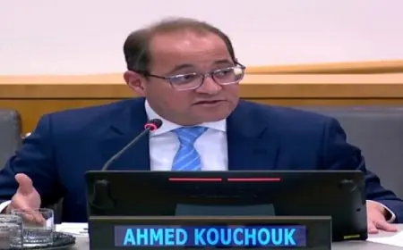 كجوك من نيويورك: نستهدف مبادرات جديدة لمبادلة الديون باستثمارات بمجالات التنمية المستدامة والتحول الأخضر