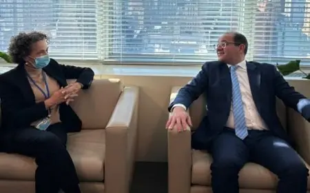 وزير المالية: حل أزمة الديون بأفريقيا يُمهد الطريق لإصلاح حقيقي بالهيكل المالى العالمى