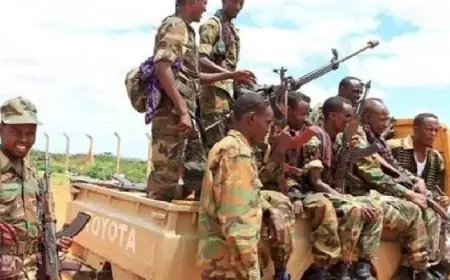 الصومال يُحبط هجوماً إرهابياً لداعش فى محافظة برى