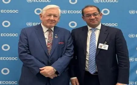 وزير المالية يؤكد أهمية تحسين قدرة الدول النامية على زيادة إيراداتها الضريبية بشكل فعال