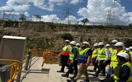 وزير الإسكان يزور مشروع سد ومحطة كهرباء “جوليوس نيريرى” لتوليد الطاقة بتنزانيا