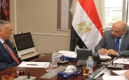 وزير الكهرباء والطاقة المتجددة يبحث مع رئيس “المنطقة الاقتصادية للمثلث الذهبى” فرص الاستثمار