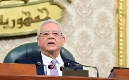 رئيس مجلس النواب: لا منع من التصرف فى الأموال أو إدارتها إلا بناء على حكم قضائى