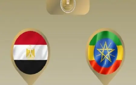 وزير الخارجية يتوجه إلى أديس أبابا لترؤس الوفد المصرى المشارك في اجتماعات المجلس التنفيذى للاتحاد الإفريقى