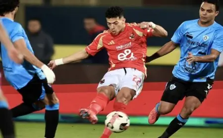 الأهلى يعبر المحلة ويتصدر الدورى مؤقتا