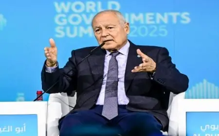 أبو الغيط: إخلاء فلسطين من سكانها أمر لا يمكن قبوله