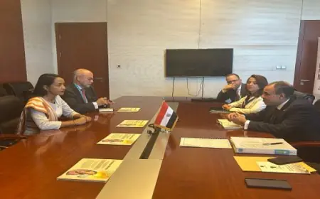 وزير الخارجية والهجرة يلتقى وزيرة خارجية مدغشقر