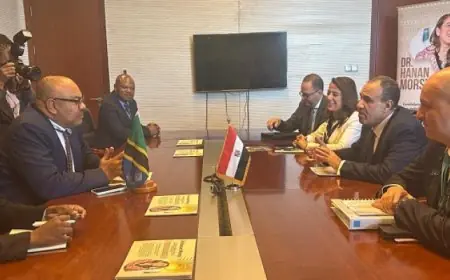 وزير الخارجية يبحث مع نظيره التنزاني تنفيذ مشروعات البنى التحتية والمشروعات القومية الكبرى