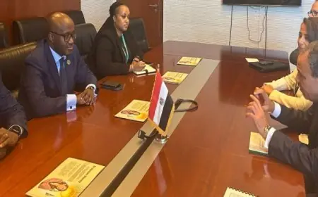 وزير الخارجية: مصر حريصة على دفع مسار التعاون الاقتصادي والاستثماري مع رواندا