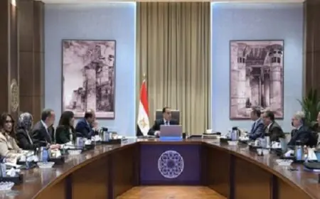 رئيس الوزراء: يتم العمل على مجموعة من الإجراءات تهدف إلى تيسير التعاملات الجمركية