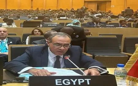 وزير الخارجية يؤكد أهمية العمل الإفريقي المُشترك في مواجهة التحديات التي تواجه القارة